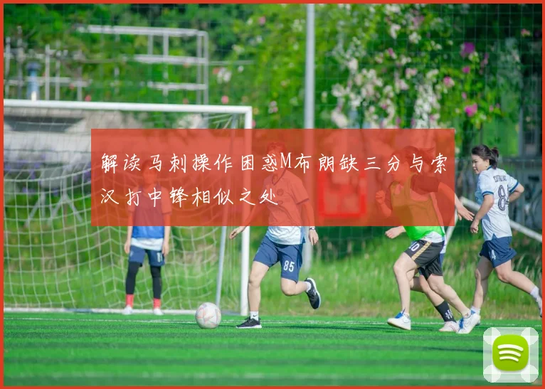 解读马刺操作困惑M布朗缺三分与索汉打中锋相似之处